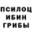 Псилоцибиновые грибы Psilocybe TheLidlMan