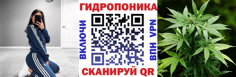 Шишки марихуана индика  что такое наркотик  Маркс 